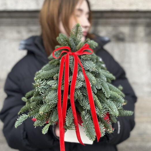 Ёлочка Новогодняя в керамическом кашпо с бархатной лентой ️