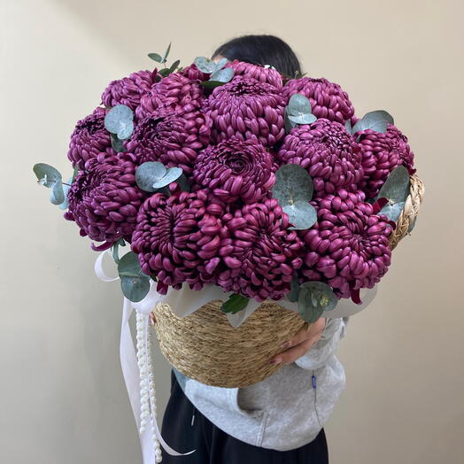 Хризантема бигуди в кашпо