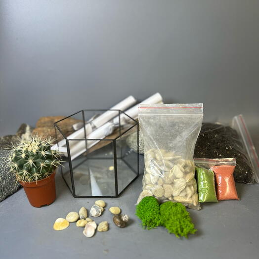 Набор для создания флорариума Сделай Сам с кактусом