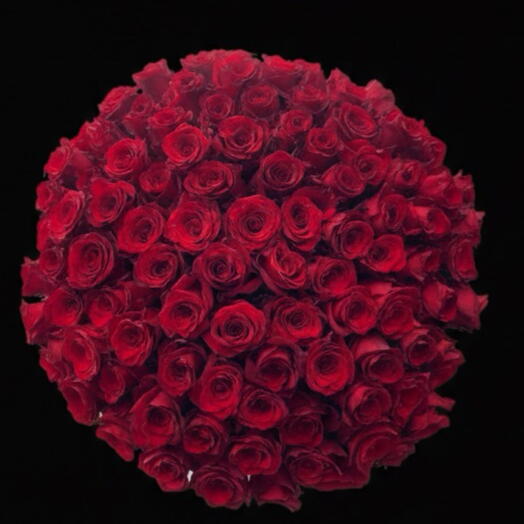 101 red rose
