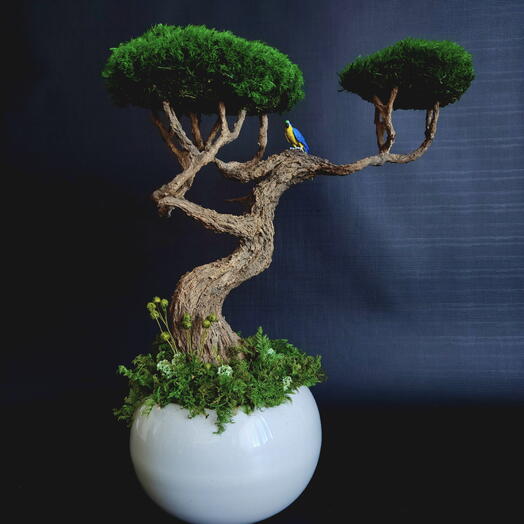 Моссариум "Танец ветвей"