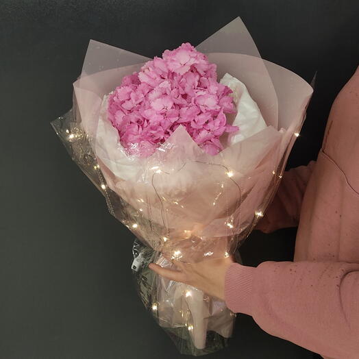 Гортензия в светящейся упаковке