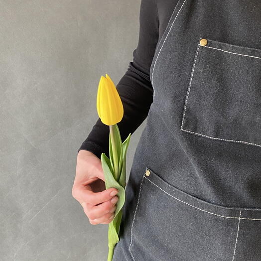 Тюльпан желтый