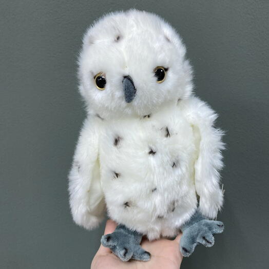 Сова🦉