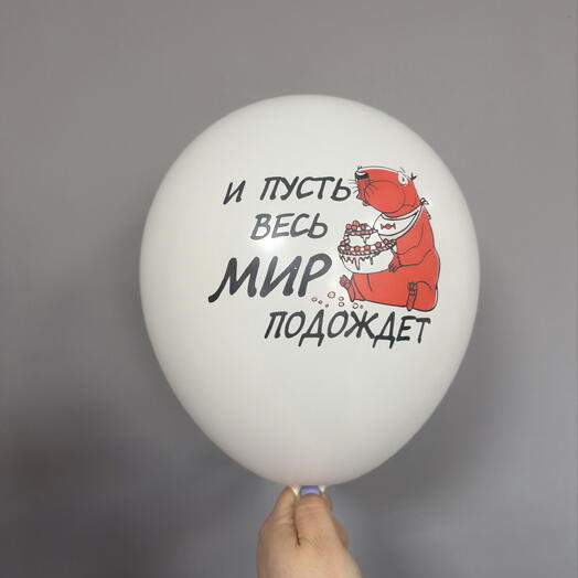 Шар с гелием Пусть весь мир подождет