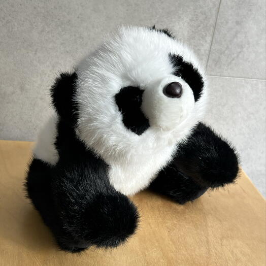 Панда 🐼