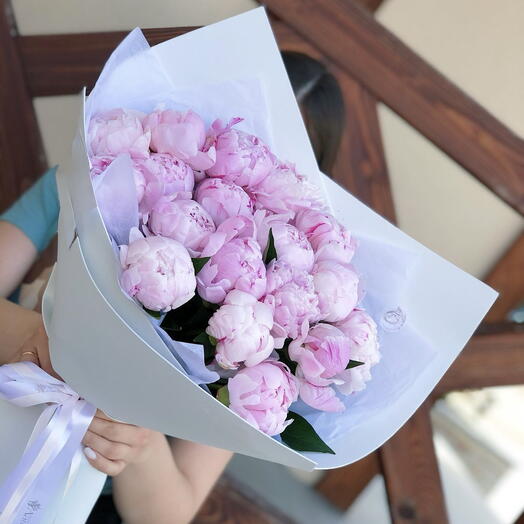 Розовые пионы 17 штук