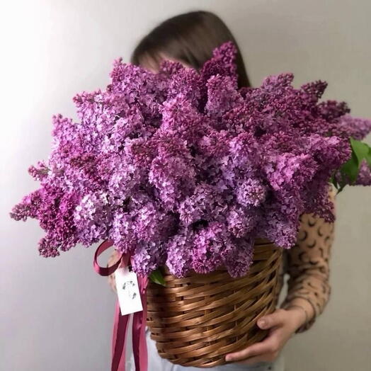 Flowers in basket - Lilac