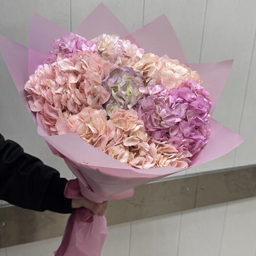 Букет из 7 розовых гортензий 💐 нежный объёмный букет для подарка