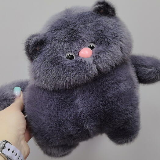 Кот обжора серый