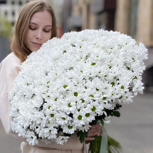 51 белая хризантема бакарди