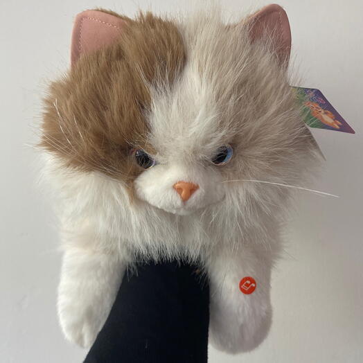 Мягкая игрушка «Милашка котик»