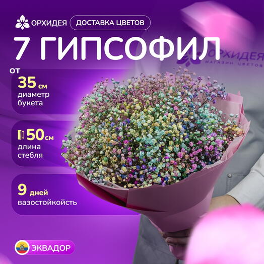 7 гипсофил микс