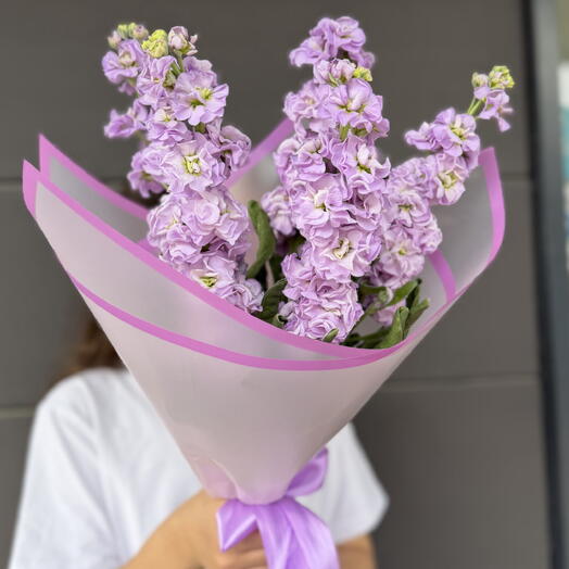 Фиолетовая Маттиола ароматная - 5 шт 💜