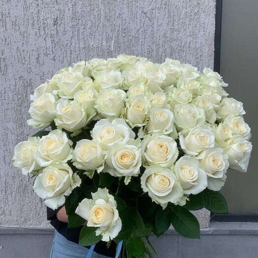 Белые розы 🌹