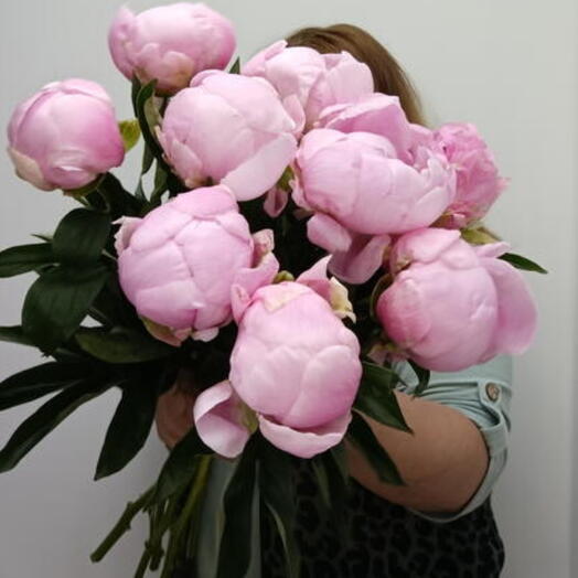 Букет из 9 крупных бутонов пионов peony