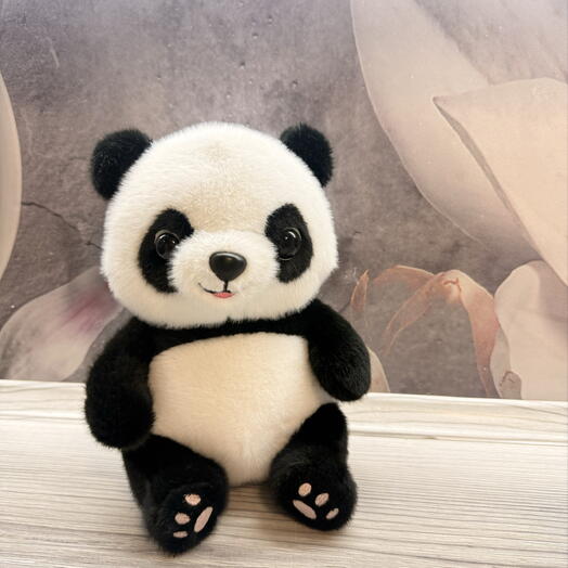 Панда 🐼