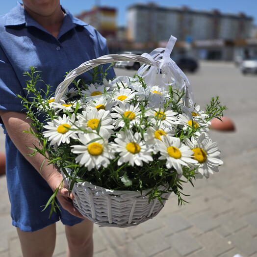 Ромашки в плетёной корзине
