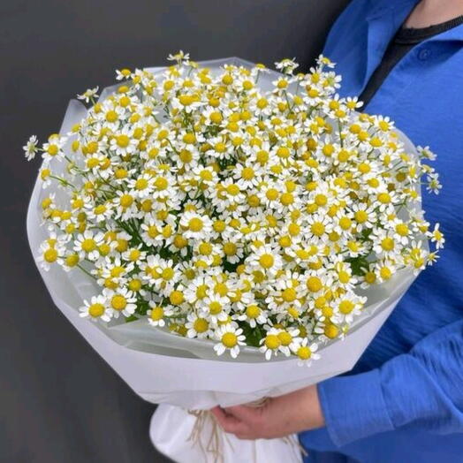 Букет из мелкых ромашек