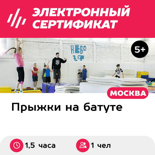 Подарочный сертификат Первая тренировка в батутном центре в мини-группе, 1 чел, 1,5 часа