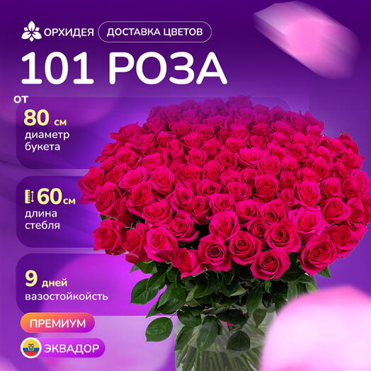 101 роза "Хот Эксплорер"