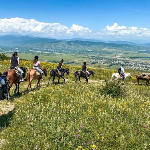 Конный тур (4 часа) в Palomino Ranch