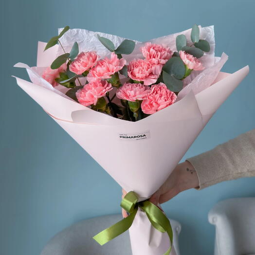 Букет из 9 розовых гвоздик с эвкалиптом «Нежный комплимент»💗 40326