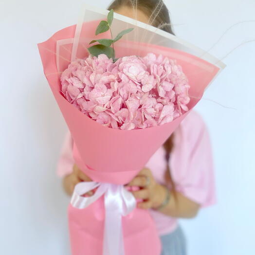 Розовая гортензия 🌸🤍