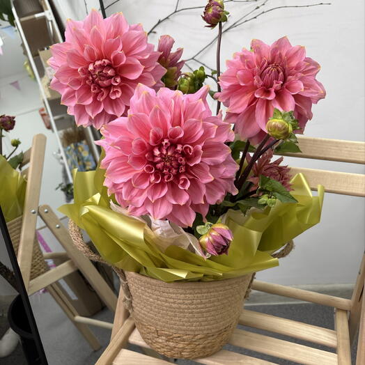 Композиция с георгинами в плетеном кашпо 🌸