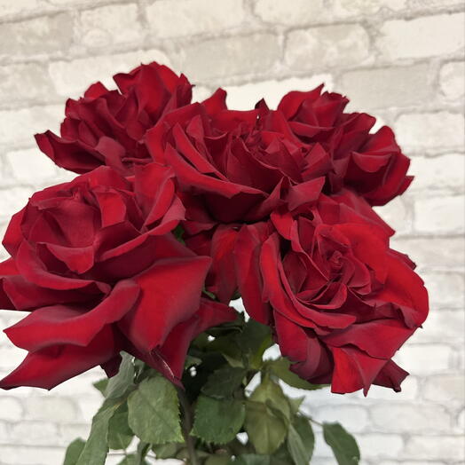 5 французских роз