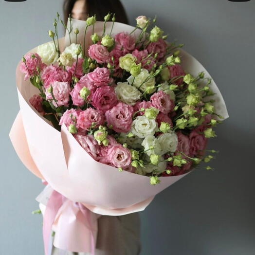 Eustoma