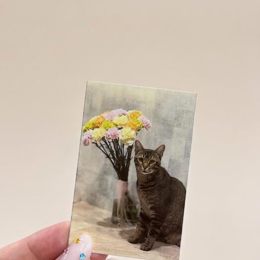 Фотооткрытка
