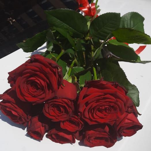 Rose red 9 PCs
