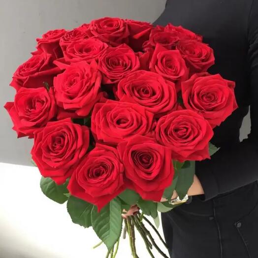 Rosas rojas fragantes 19