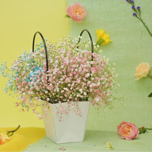 Bolso de la gypsophila