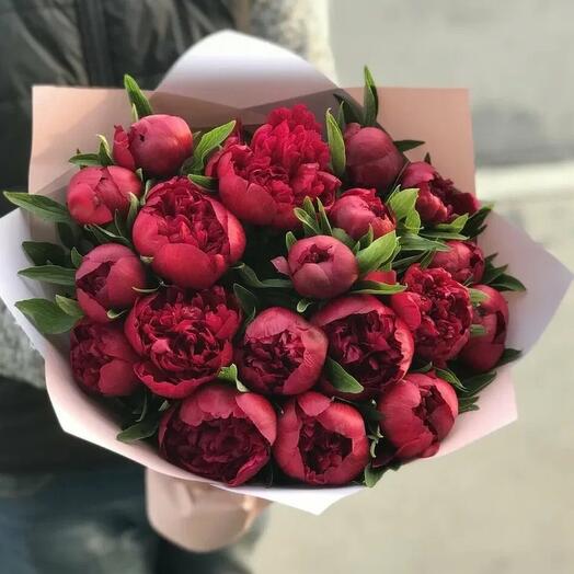 Моно букет. Пион ред 21шт