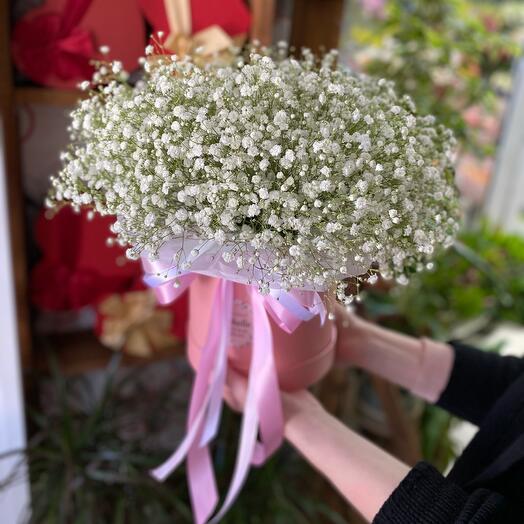 A box of gypsophila