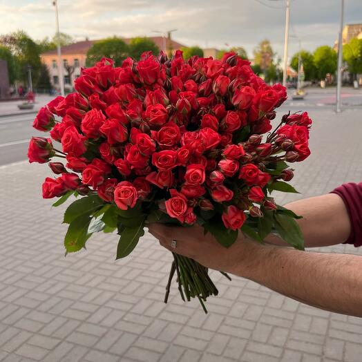 Bush rose