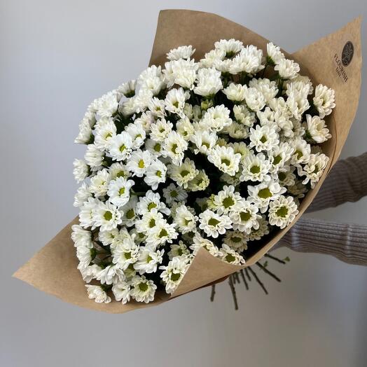 17 bush chrysanthemums
