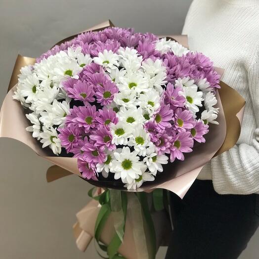 Ромашковое настроение 🌼