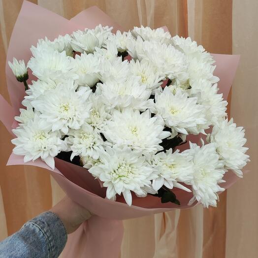7 chrysanthemums