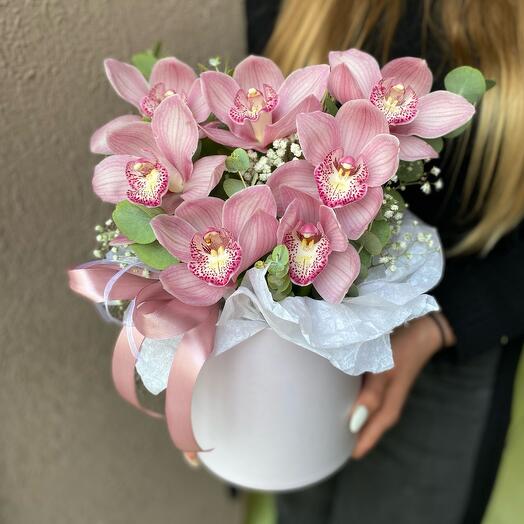 Ramo en una Caja de orquídeas