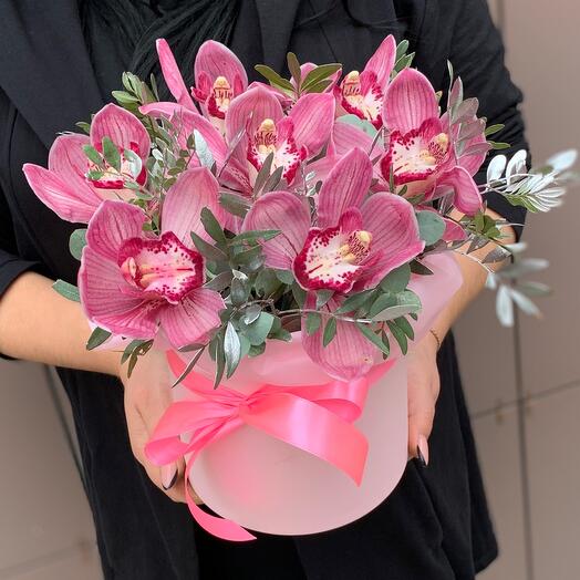 Orquídeas mariposa