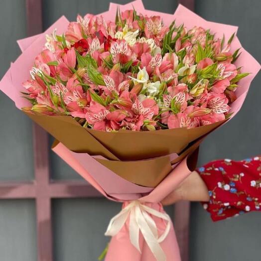 Alstroemeria