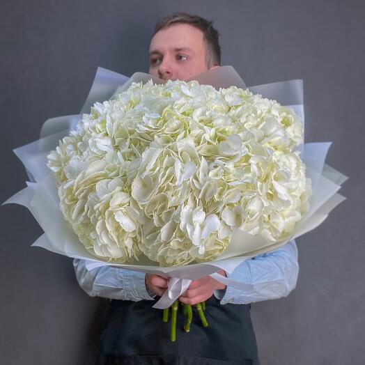 Monobuceta de 9 hortensias blancas