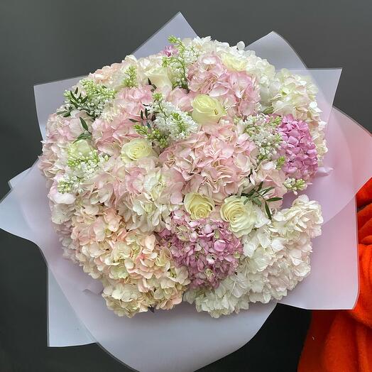 Mix of Hydrangeas