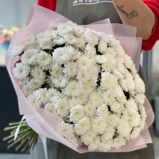 25 кустовых хризантем белого цвета