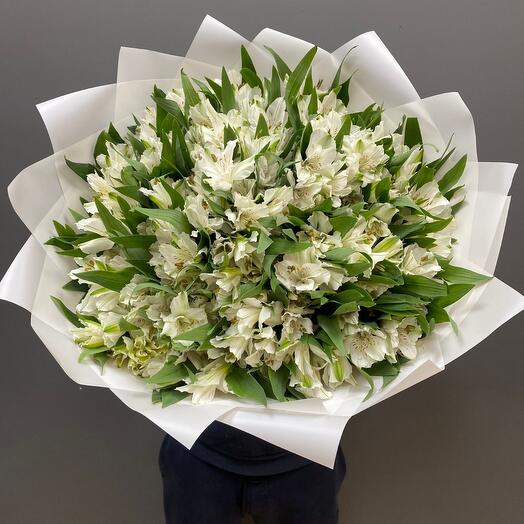 Alstroemeria