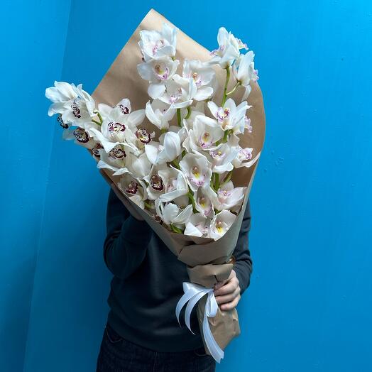 Orchids