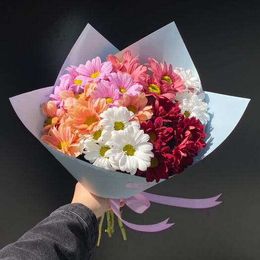 Mix of Chrisanthemum